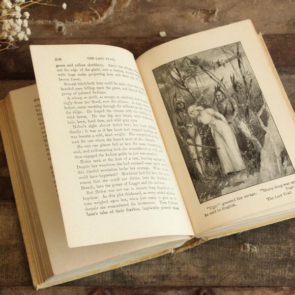 Vintage 1900s Book, "The Last Trail" by Zane Grey, Published by A.L. Burt Co - Picture 9 of 10